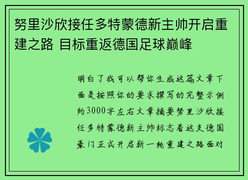 努里沙欣接任多特蒙德新主帅开启重建之路 目标重返德国足球巅峰 努里沙欣接任多特蒙德新主帅开启重建之路 目标重返德国足球巅峰
